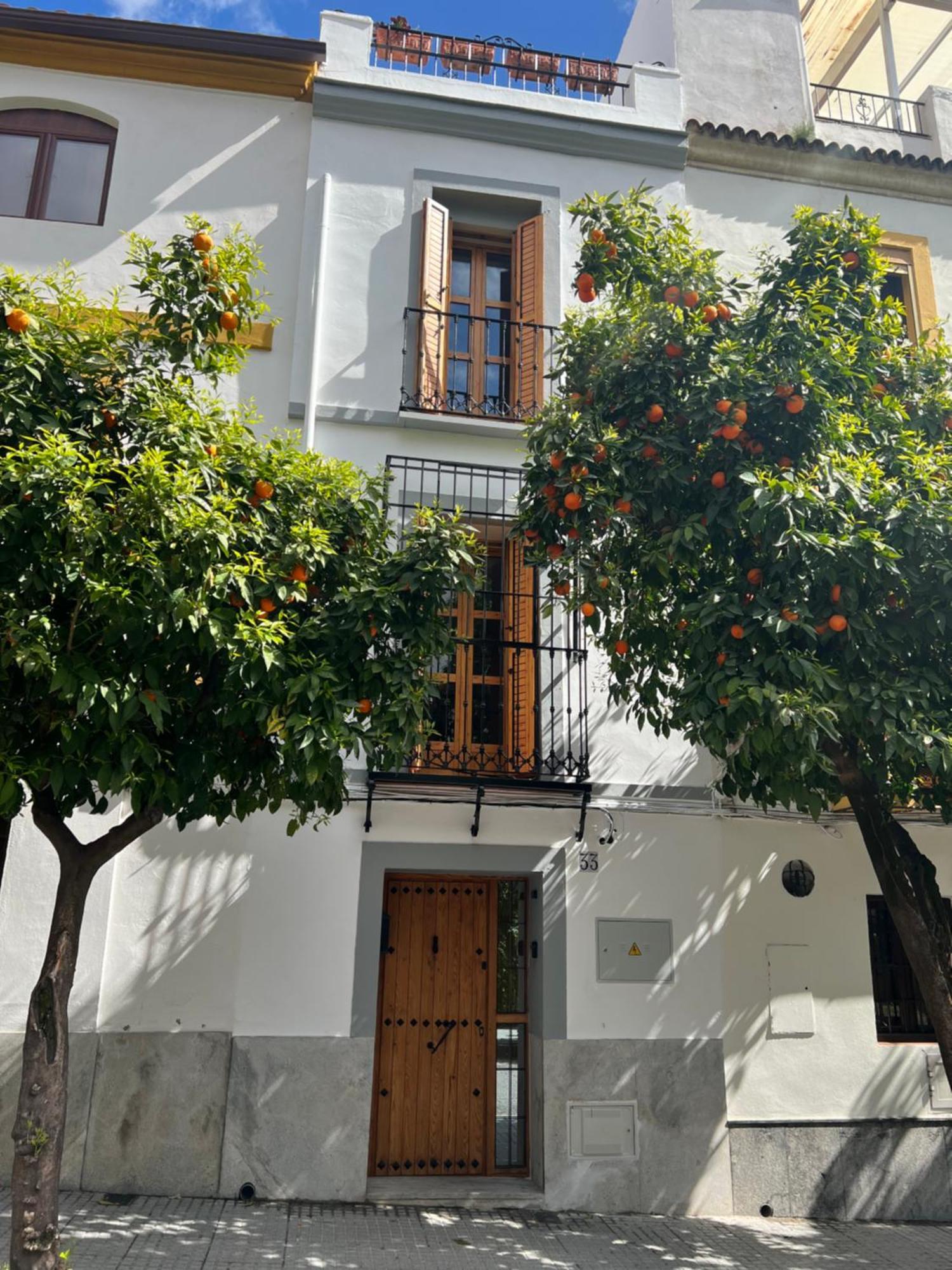 Villa San Fernando 33 à Cordoue Extérieur photo